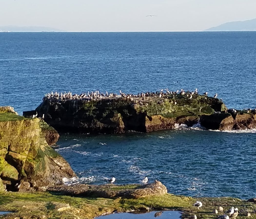 West Cliff Drive 2